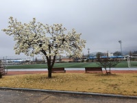 학교앨범<학교소식<이원중학교 이원중학교