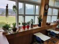 행사사진<도원소식<도원분교<문의초등학교 문의초등학교