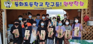 동화행복여행<알림마당<동화초등학교 동화초등학교