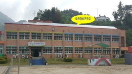 교육앨범<교육활동앨범<세성소식<세성초등학교 세성초등학교