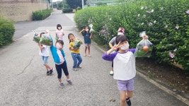 돌봄교실<청룡소식<청룡초등학교 청룡초등학교