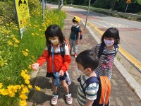 유치원앨범<병설유치원<대가초등학교 대가초등학교