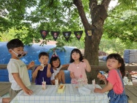 유치원앨범<병설유치원<대가초등학교 대가초등학교