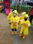 증안앨범<유치원<증안초등학교 증안초등학교