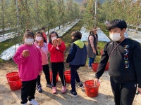 갤러리<연구학교<백봉초등학교 백봉초등학교