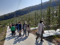 갤러리<연구학교<백봉초등학교 백봉초등학교