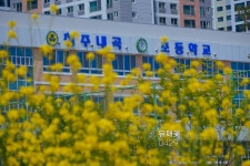 Go Green 생태 체험<생태환경 연구학교<선생님마당<청주내곡초등학교 청주내곡초등학교