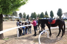 덕신 앨범<자료실<덕신초등학교 덕신초등학교