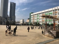 포토앨범<학교소식<대성여자중학교 대성여자중학교