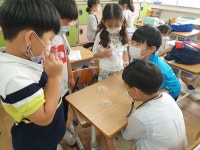 학교앨범<알림방<만수초등학교 만수초등학교