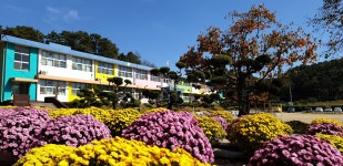 학교 둘러보기<심천소개<심천초등학교 심천초등학교
