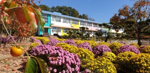 학교 둘러보기<심천소개<심천초등학교 심천초등학교