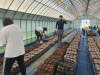 교육활동사진<채소경영과<학과소개<충북생명산업고등학교 충북생명산업고등학교