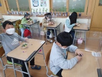환경을 생각하는 우리반<S(School)학교와 함께<S-H-S 합동작전<탄소중립 실천학교<창리초등학교 창리초등학교
