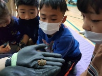 감물앨범<감물소식<감물초등학교 감물초등학교