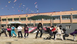 교육앨범<교육활동앨범<세성소식<세성초등학교 세성초등학교