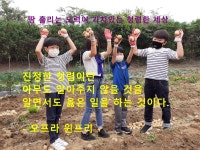 청렴-용원교육<용원소식<용원초등학교 용원초등학교