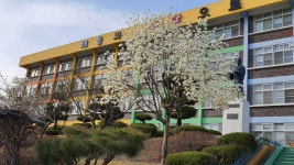 학교앨범<사직소식<사직초등학교 사직초등학교