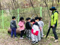 유치원 유치원