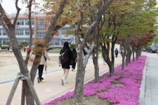 행사앨범<학교소식<청주중앙여자고등학교 청주중앙여자고등학교