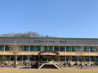 학교숲 사진 컨테스트<초록학교<학생마당<감물초등학교 감물초등학교