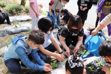 전자앨범<전자앨범<학교소식<문의초등학교 문의초등학교