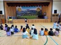 안내앨범<학교소식<안내초등학교 안내초등학교