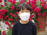 2021년도 장미축제 사진전<온라인 사진전<장미축제<칠금소식<칠금초등학교 칠금초등학교