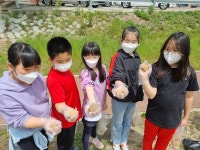 연구학교 앨범<연구학교<내수초등학교 내수초등학교