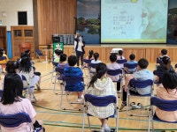 안내앨범<학교소식<안내초등학교 안내초등학교