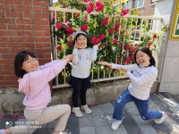 2021년도 장미축제 사진전<온라인 사진전<장미축제<열린마당<칠금초등학교 칠금초등학교