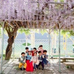유치원 산새소리반