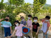 학교숲 사진 컨테스트<초록학교<학생마당<감물초등학교 감물초등학교