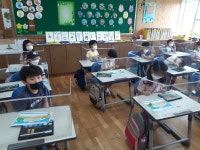 늘봄학교 앨범