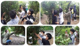 부윤갤러리<학교소식<부윤초등학교 부윤초등학교