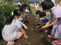 교육앨범<교육활동앨범<세성소식<세성초등학교 세성초등학교