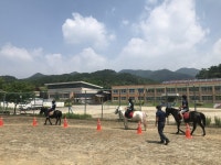 교육앨범<교육활동앨범<세성소식<세성초등학교 세성초등학교