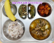 오늘의 포토식단<학교소식<수성초등학교 구성분교장 수성초등학교 구성분교장