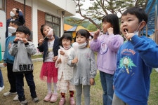 유치원앨범<병설유치원<대가초등학교 대가초등학교
