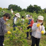 교육활동앨범<예성소식<충주예성초등학교 충주예성초등학교