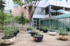 학교앨범<학교소식<충주예성여자고등학교 충주예성여자고등학교