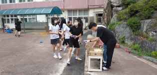 학교앨범