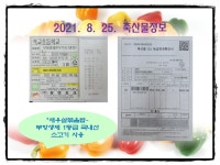 급식갤러리<급식게시판<이야기마당<석교초등학교 석교초등학교