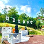 학교앨범<학교생활<영동미래고등학교 영동미래고등학교