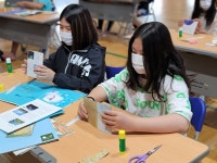 안내앨범<학교소식<안내초등학교 안내초등학교