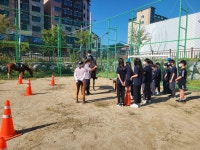 학교앨범