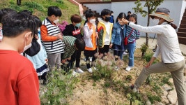 숲이랑<숲이랑 밭이랑<용담초등학교 용담초등학교