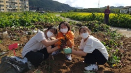운영 모습<연구학교(2021~22)<학교소개<앙성초등학교 앙성초등학교