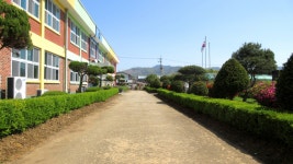 사진공모전<행복을 찍는 아이들<특색교육<안남초등학교 안남초등학교