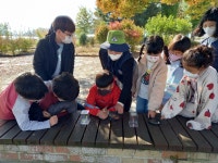 행사앨범<학교소식<하당초등학교 하당초등학교